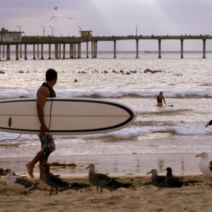 Ocean Beach surfer with pier in distance